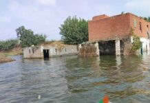 ازي الحال| “الري”: ممارسات إثيوبيا تهديد لشعوب المصب.. مصرع 3 أطفال بين 7 و10 سنوات من “عمال المزارع” بمنفلوط.. ترحيب عربي ودولي برد حماس على خطة ترامب غرق أراضي طرح النيل