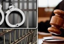 ملاحظات على رد قانون الإجراءات مشروع قانون الإجراءات الجنائية