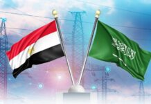 الاقتصاد في أسبوع: خفض الفائدة.. جديد الربط الكهربائي مع السعودية.. شركات العقارات تطلب فائدة 8% مشروع الربط الكهربائي المصري السعودي