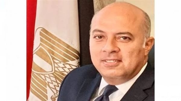 السفير محمد الشناوي
