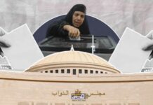 كيف أثرت الانتخابات على الشأن الديمقراطي في مصر انتخابات مجلس النواب 2025