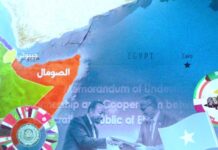 القرن الإفريقي بعد حرب غزة: صراع النفوذ وتحولات التحالفات الإقليمية القرن الإفريقي بعد حرب غزة