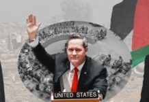 انتحار المعنى على مشانق مجلس الأمن! مجلس الأمن يقر مشروع القرار الأمريكي بشأن خطة ترامب لغزة