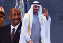 الإمارات في السودان حرب نفوذ واستراتيجية هيمنة الإمارات في السودان