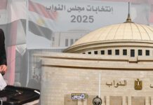 الديمقراطية والانتخابات النزيهة مسئولية من؟ انتخابات مجلس النواب 2025
