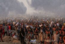 غزة وصناعة التوحش (٣): العنف الاستبدادي وعبادة الهيمنة العنف الاستبدادي وعبادة الهيمنة