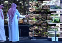 «نيوم» يوتوبيا السعودية.. الحلم يصطدم بالواقع مشروع نيوم