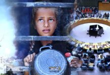 الرد الأمريكي على سؤال “اليوم التالي” في غزة.. السياق الدولي والإقليمي لقرار مجلس الأمن 2803 مجلس الأمن والحرب على غزة