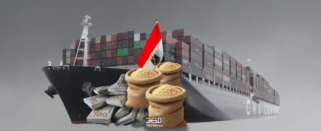 تراجع واردات مصر من القمح تراجع واردات مصر من القمح
