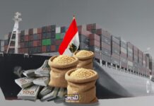 لماذا تراجعت واردات مصر من القمح؟ تراجع واردات مصر من القمح