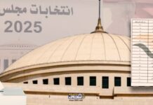 تقسيم الدوائر الانتخابية وأثرها على ديمقراطية الانتخابات انتخابات مجلس النواب 2025