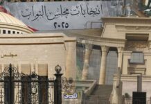 هل تحقق المحكمة الدستورية في معنى القائمة المطلقة في الدستور وتداعياتها على الأرض؟ انتخابات مجلس النواب 2025