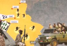 سقوط بابنوسة.. استقرار الدولة السودانية في خطر سقوط بابنوسة السودانية