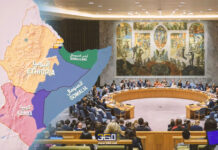 ردود الفعل الدولية والإقليمية من الاعتراف الإسرائيلي بأرض الصومال “تقدير موقف” الاعتراف الإسرائيلي بأرض الصومال