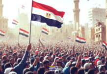 هل حقا نصف ثورة يساوي هلاك أمة؟ ثورة 25 يناير