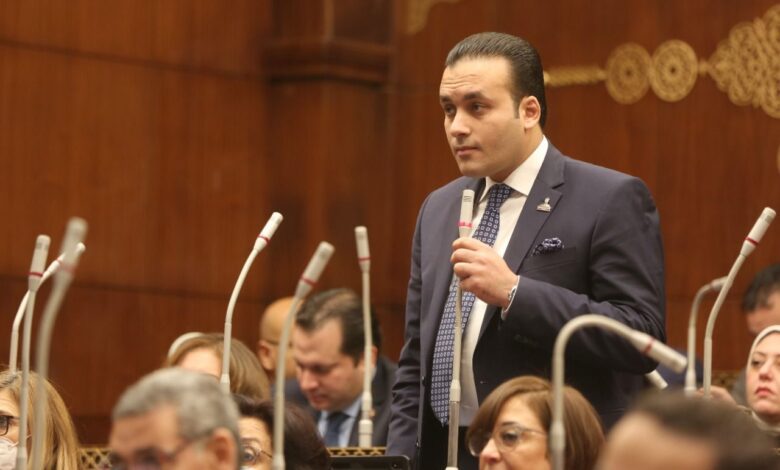 النائب عمرو فهمي