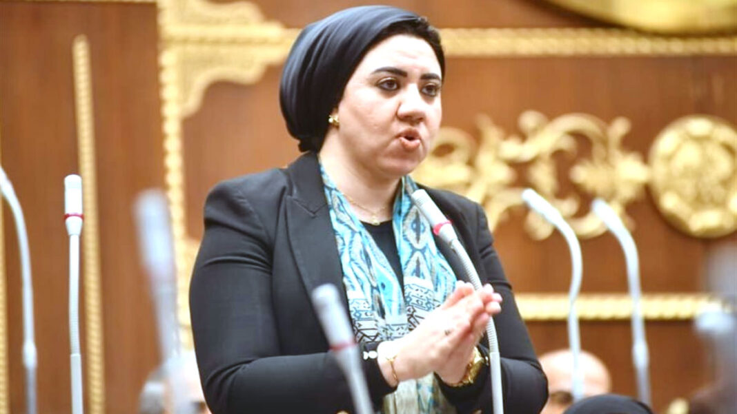 النائبة أميرة صابر