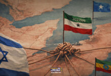 الدبلوماسية الانتقائية: خطوة إسرائيل تجاه صوماليلاند وتداعياتها الإقليمية خطوة إسرائيل تجاه صوماليلاند وتداعياتها الإقليمية