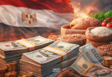 ازي الحال| الحرب تتمدد.. الحكومة تعلن “خطة طوارئ” لتأمين النقد الأجنبي والسلع الغذائية.. “النواب” يعتمد التشكيل الجديد لـ”القومي لحقوق الإنسان” خطة طوارئ من الحكومة لتأمين النقد الاجنبي والسلع الغذائية