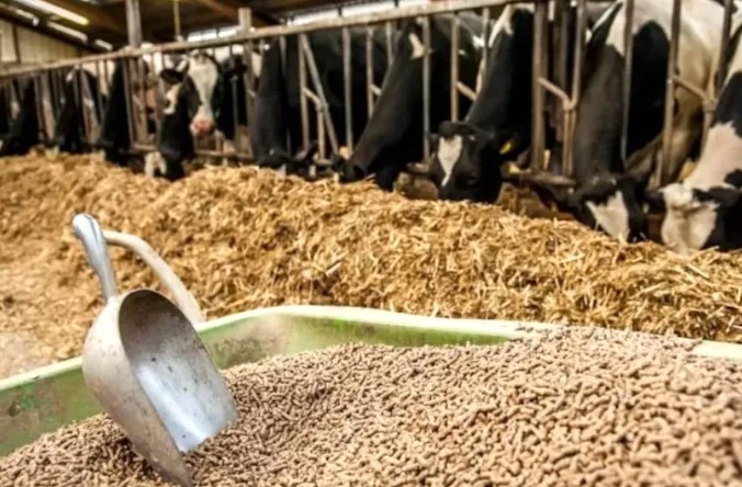 ارتفاع أسعار الأعلاف