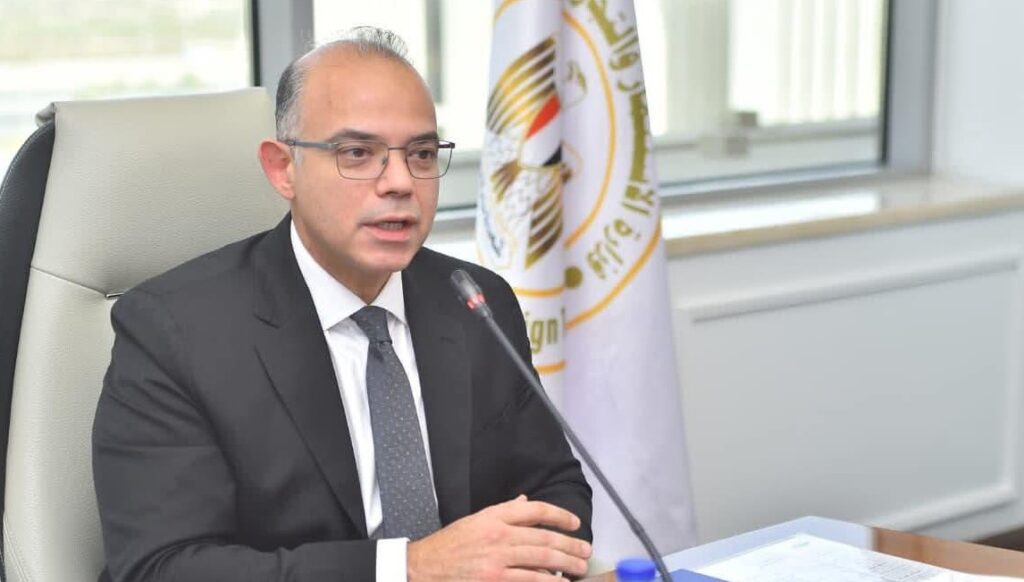 الدكتور محمد فريد وزير الاستثمار