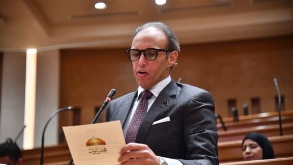 النائب محمد فريد، أمين سر لجنة حقوق الإنسان بمجلس النواب