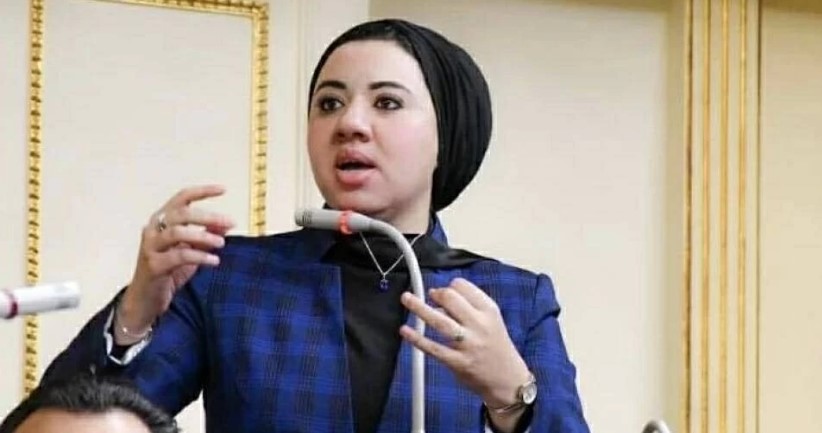 النائبة أميرة صابر