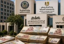 القروض المضمونة من “المالية” تسجل 5.2 تريليونات جنيه.. من اقترض؟ وما المخاطر؟ القروض المضمونة