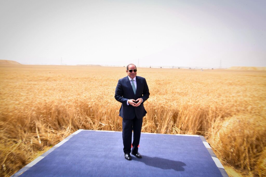 الرئيس السيسي خلال فعاليات موسم حصاد القمح 2026
