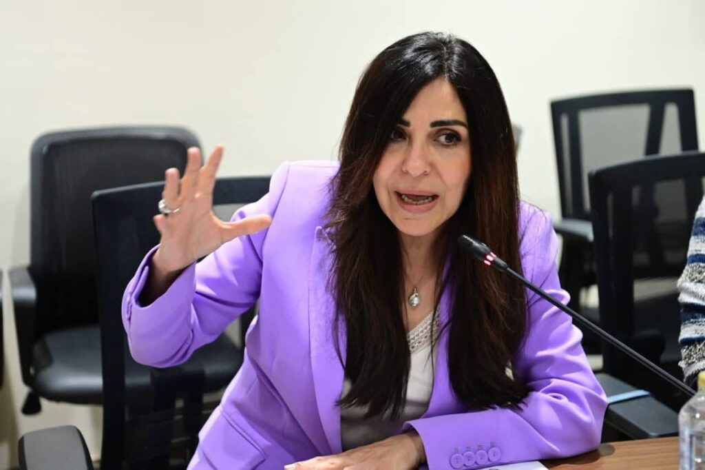 النائبة إنجي أنور، وكيل لجنة الثقافة والإعلام بمجلس النواب