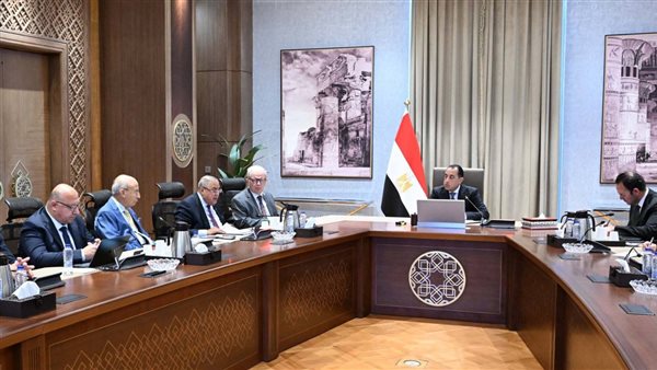 رئيس الوزراء يوجه بنقل تبعية جميع شركات قطاع الأعمال