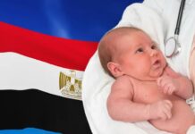 ازي الحال| القوات المسلحة: حملة مكبرة ضد البؤر الإجرامية في الجنوب.. هبوط تاريخي في معدلات الإنجاب.. “غزل المحلة” في البورصة الشهر المقبل هبوط تاريخي في معدلات الإنجاب