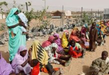 نداء إلى القاهرة: تجنبوا سقوط الأبيض الأبيض تواجه شبح الحرب والمجاعة