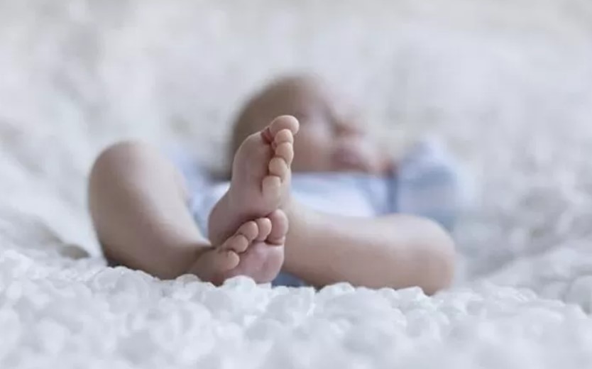 معدلات الإنجاب في مصر